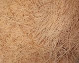 A picture of step 14 of Shahi mithaas.