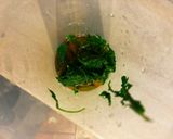 Foto del passaggio 2 della ricetta Penne al pesto di rucola e tonno