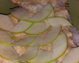 Foto del paso 2 de la receta: Rollo De Tomate De Manzana Gamba