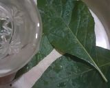 Foto langkah ke 2 dari resep Ramuan daun papika.