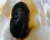 Foto del paso 3 de la receta: Guisado de hojas de Tobarra