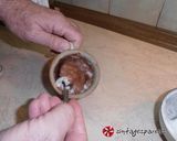 Φωτογραφία βήματος 11 της συνταγής Χτυπητό αυγό. Φτιάξτε το γλυκό μιας άλλης εποχής!