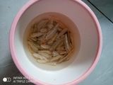 Terong Jamur Gerigit Super Hot