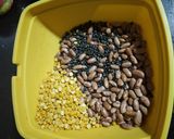 ডাল বুখারা (dal bukhara recipe in Bengali) রেসিপির ধাপ 1 ছবি