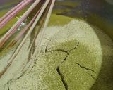 Foto langkah ke 1 dari resep Japanese Matcha Souffle Pancake 🇯🇵 #lembut #tanpacetakan.