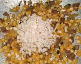 Foto langkah ke 2 dari resep Risol Makaroni Keju.