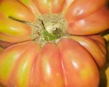Foto del paso 1 de la receta Ensalada de verano con tomate pelado