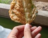 Foto langkah ke 3 dari resep Keripik bayam renyah.