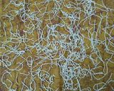 A picture of step 7 of Homemade oats vermicelli.