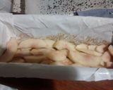 Foto del paso 1 de la receta: Budín de manzanas y azúcar rubia
