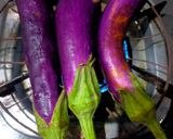 Foto langkah ke 1 dari resep Terong Bakar Sambal Santan.