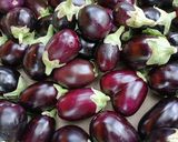 Une image de l'étape 3 de TIAN PROVENÇAL AUX LEGUMES ET MOZZARELLA🍆🌶️🍅.