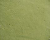 A picture of step 2 of Homemade tortilla.