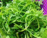 Hình bước làm 1 của món Thịt Bò Xào Cải Cúc