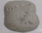 Foto langkah ke 13 dari resep Moringa Black n White Sesame Seeds Sourdough Bread.