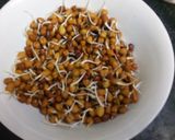 A picture of step 1 of Sprouted Chana.