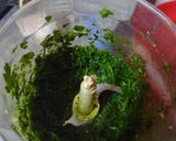 Foto del paso 3 de la receta: Pesto!
