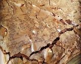 Une image de l'étape 2 de Brownie chocolat noir.