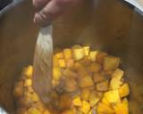 Coconut Pumpkin Soup recipe step 3 photo