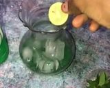 Mint lemonadematakin girki7 hoto