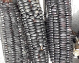 Foto del paso 1 de la receta: Tamales de masa oscura