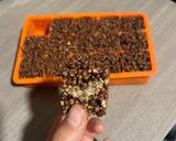 Foto del paso 3 de la receta: Quinoa pop saludable