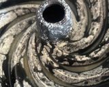 صورة لخطوة 2 من وصفة كيكة البرتقال