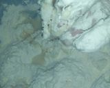 A picture of step 2 of Dumplings.