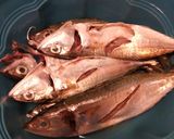 Foto langkah ke 1 dari resep Ikan kembung saus blah rica.