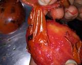 Tomato Green Chillies Thecha recipe step 1 photo