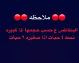 صورة لخطوة 7 من وصفة خبز سريع ولذيذ 😋