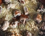 A picture of step 3 of Baked Rice with Asturian Chorizo and Ontinyent Sausages.