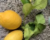 Une image de l'étape 15 de Riz 🌾 jerbien 🥬🍃🥕🌶🧄le soleil 🌞 dans l’assiette ☘️.