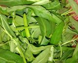 Foto langkah ke 1 dari resep Tumis Kangkung Segar dan Enak.