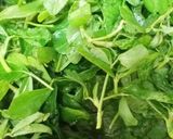 मेथी आलू की सब्जी (Methi aloo ki sabzi recipe in Hindi) रेसिपी चरण 1 फोटो