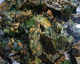 ચટપટા રસ પાત્રા (Chatpata Ras Patra Recipe In Gujarati) રેસીપી સ્ટેપ5ફોટો
