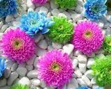صورة لخطوة 15 من وصفة اجمل اصدقاء 😘😘😉😉😘