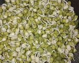 ફણગાવેલા મગ (Sprout Moong Recipe In Gujarati) રેસીપી સ્ટેપ1ફોટો