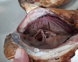 Foto langkah ke 1 dari resep Mangut Kepala Ikan Manyung Asap Khas Juwana Pati.