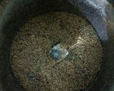 A picture of step 3 of Instant horse gram soup.