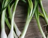 Une image de l'étape 5 de Velouté courgette🥒parmesan🧀🌰noisettes 🥣.