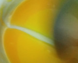 Foto del paso 5 de la receta: Panna cotta de mandarina 🍊