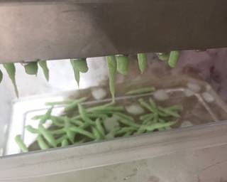 Cendol ikan patin - Step 7