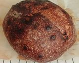Foto langkah ke 21 dari resep Double Chocolate Sourdough Bread 80% (Oven Tangkring).