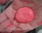 Foto langkah ke 3 dari resep Klepon kemerdekaan.