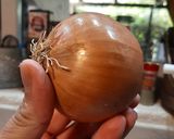 Foto del paso 1 de la receta: Puré de papas con estofado de carne