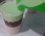 Foto del paso 11 de la receta: Gelatina triple
