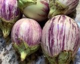 Une image de l'étape 8 de 🥫conserve sucrée 🍒🍓ou 🫑🌶️salée 🌿.