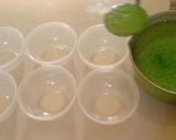 Foto langkah ke 3 dari resep Puding lumut Vla.