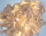Foto langkah ke 2 dari resep Cap Cay Kuah Jamur Kuping.